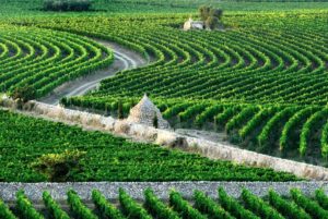 wine tour ad Amastuola e trekking